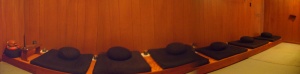 Cushions in a row in Zendo